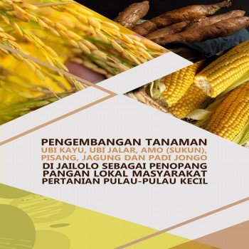 Pengembangan tanaman ubi kayu, ubi jalar, amo (sukun) pisang jagung,dan padi jongodi jailolo sebagai