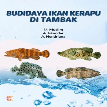 Budidaya Ikan Kerapu Di Tambak
