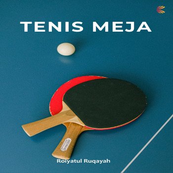 TENIS MEJA